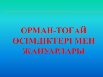 Дүниетану пәнінен Орман-тоғай өсімдіктері мен жануарлары тақырыбына презентация