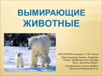 Презентация к уроку Исчезающие виды животных