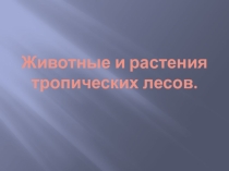 Презентация по окружающему миру:  Животные и растения тропических лесов.