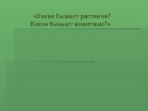 Презентация по окружающему миру на тему :Растения