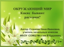 Презентация по окружающему миру на тему Какие бывают растения?