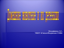Домашние животные и х дитёныши 1 класс