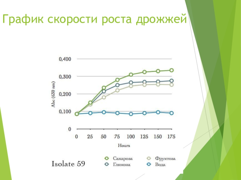 Скорость роста. График скорости роста дрожжей. Рост и скорость роста. SD скорости роста. Скорость роста подписчиков.