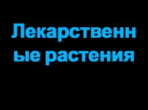 Презентация по ИКБ Лекарственные растения