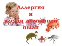 Проект Клещи домашней пыли