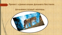 Проект по экологии Дальневосточный леопард 9 классАктуальность проекта