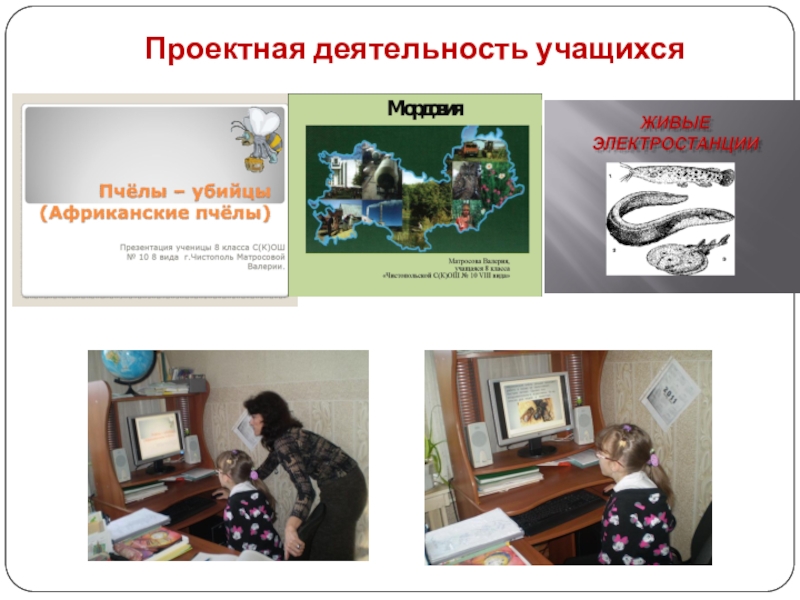 Презентация Использование ИКТ как условие эффективности усвоения обучающимися учебной информации на уроках географии и естествознания в коррекционной школе VIII вида Проектная деятельность учащихся Проектная деятельность учащихся