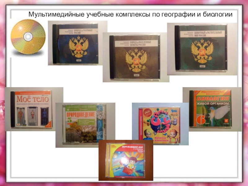 Презентация Использование ИКТ как условие эффективности усвоения обучающимися учебной информации на уроках географии и естествознания в коррекционной школе VIII вида Мультимедийные учебные комплексы по географии и биологии Мультимедийные учебные комплексы по географии и биологии