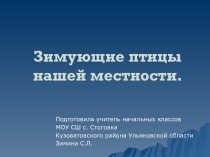 Презентация по окружающему миру