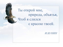 Презентация к уроку физики Атмосферное давление.