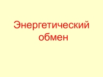 Презентация Энергетический обмен, 10 класс