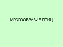 Презентация по биологии на тему: Многообразие птиц