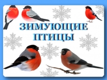 Что вы знаете о птице?