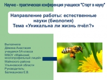 Презентация по биологии на тему Уникальная жизнь пчёл ( 5 класс)