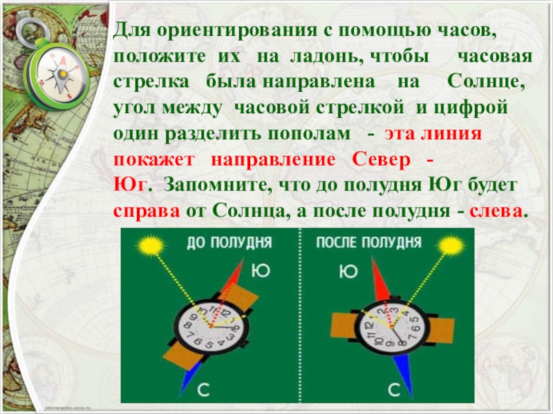 Ориентирование на местности обж 5 класс презентация