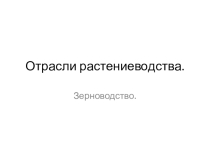 Презентация по окружающему миру Отрасли растениеводства