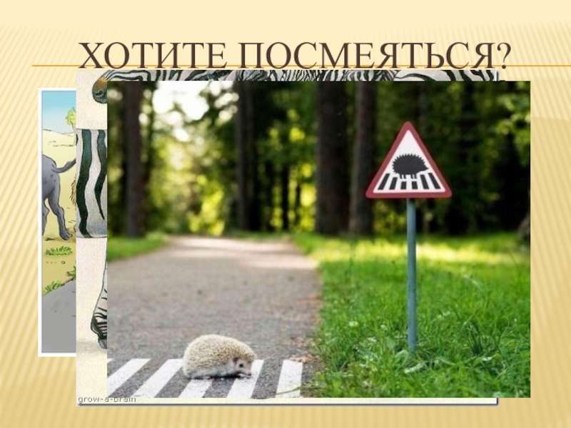 Презентация по правилам дорожного движения (начальная школа) Хотите посмеяться? Хотите посмеяться?