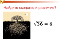 Презентация по теме Определение корня n-ой степени (10 класс) по учебнику Никольского
