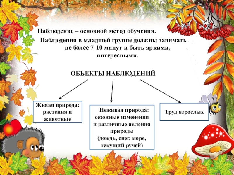 Группа наблюдения. Наблюдения за живой природой осенью 2 класс. Наблюдение в живой природе 21.04.