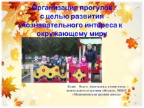 Организация прогулок с целью развития познавательного интереса к окружающему миру (средняя группа)