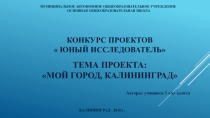 Проектная работа 3 класс