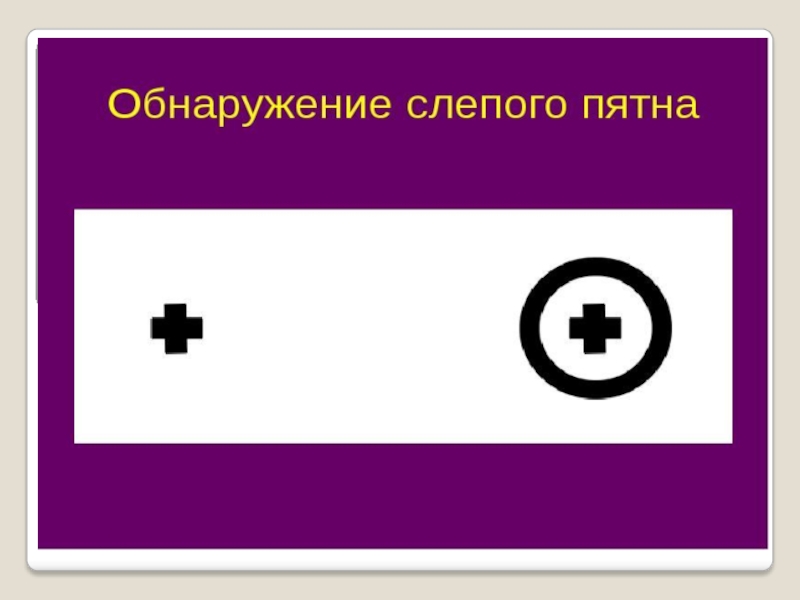 Изображение может исчезнуть если оно попадает на слепое пятно