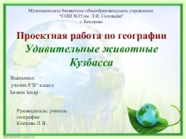 Презентация по дисциплине География на тему: Удивительные животные Кузбасса