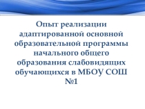 Опыт реализации адаптированной основной образовательной программы начального общего образования слабовидящих обучающихся