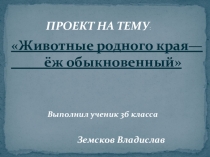 Презентация ---- Проект по окружающему миру Животные родного кря