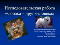 Презентация к исследовательской работе Собака - друг человека