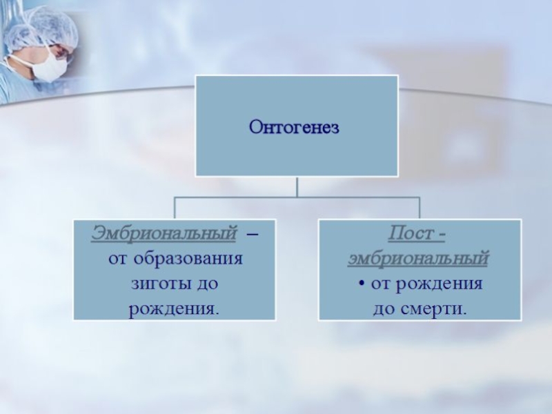 Индивидуальное развитие организма тест