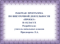 Презентация рабочей программы по внеурочной деятельности Проект