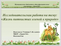 Презентация к исследовательской работе Жизнь пятнистых оленей в природе