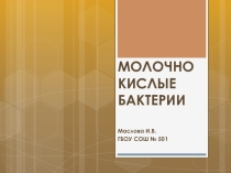 Презентация Кисломолочные бактерии (7 класс)