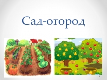 Презентация по лексической теме: Сад – огород