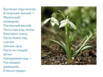 Первые цветы