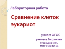 Лабораторная работа Сравнение клеток эукариот 5 класс