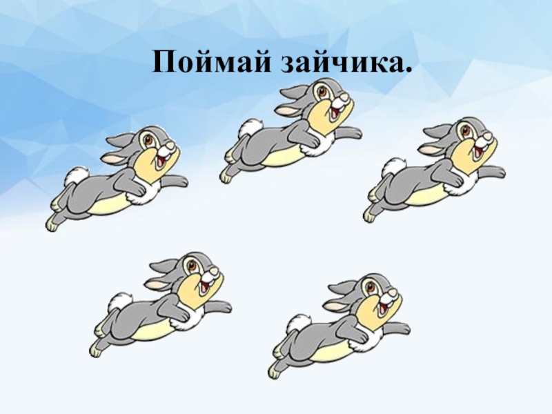 Заяц-русак. Лови зайца. Зайца за уши. Басташич поймать зайца. Заяц на даче.