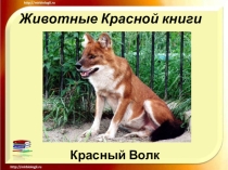 Презентация по окружающему миру (4 класс)