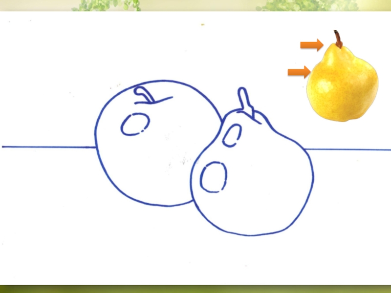 Презентация натюрморт поэтапно 3 класс. Натюрморт 3 класс. Натюрморт 3 класс изо. Рисование фруктов 3 класс. Рисование яблоко и груша старшая группа.