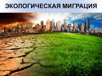 Экологическая миграция