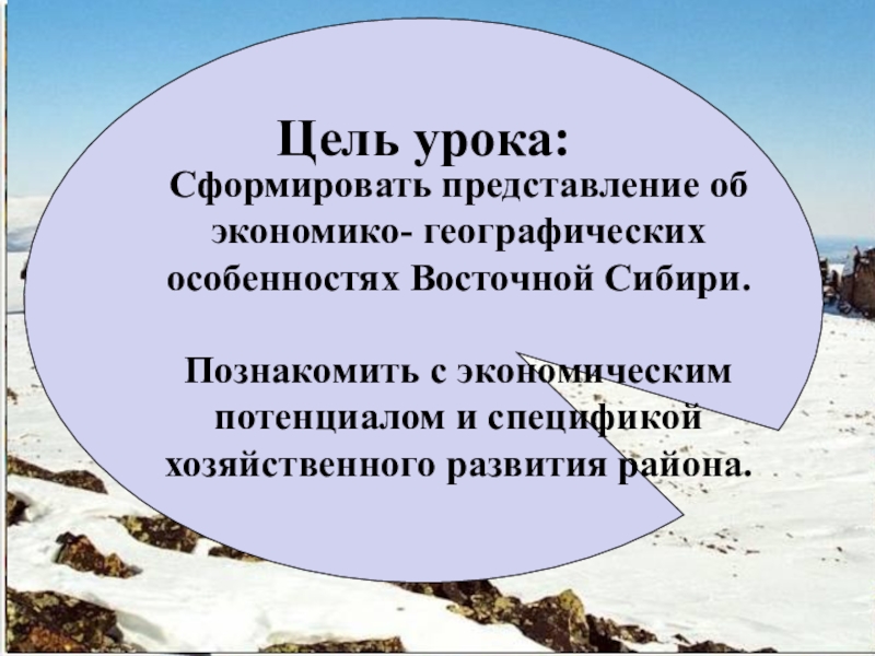 Реферат: Технологии в овцеводстве Восточной Сибири
