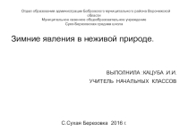 Презентация. Исследовательская работа. Зимние явления в неживой природе.