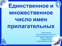 Презентация по русскому языку на тему Единственное и множественное число имён прилагательных