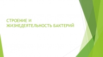 Презентация по биологии на тему Бактерии