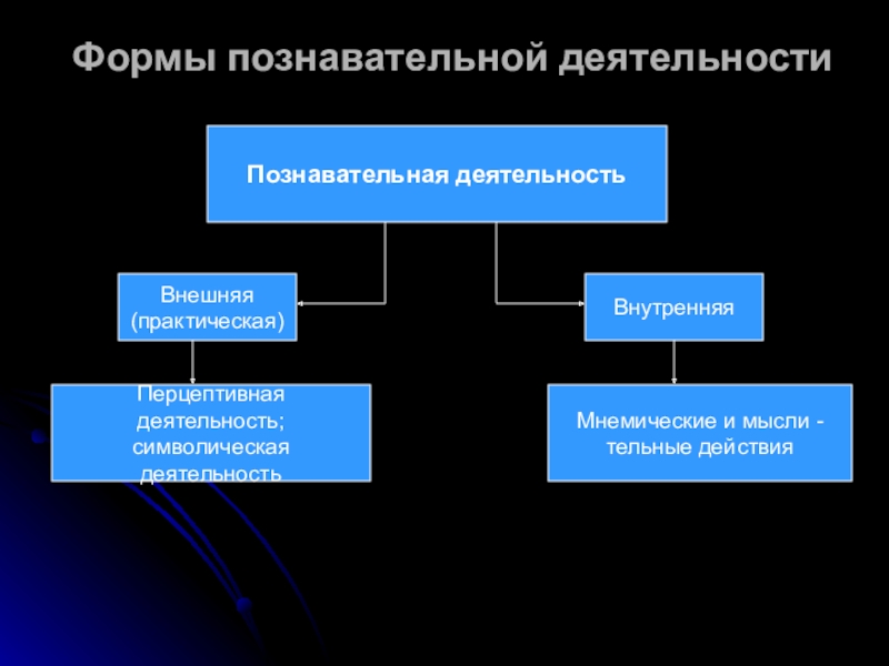 Виды познавательной деятельности