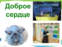 Презентация Проект доброе сердце