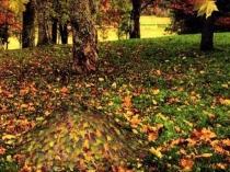 Презентация по математике на тему Приемы вычислений вида 26+7