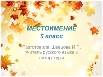 Презентация по русскому языку по теме Местоимение (5 класс)