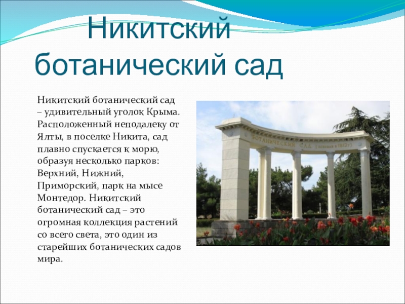 Никитский ботанический садНикитский ботанический сад – удивительный уголок Крыма. Расположенный неподалеку от Ялты, в поселке Никита, сад